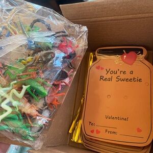 Valentines Cards Set - 36 pack of bug themed Valentines Cards, brand new in box